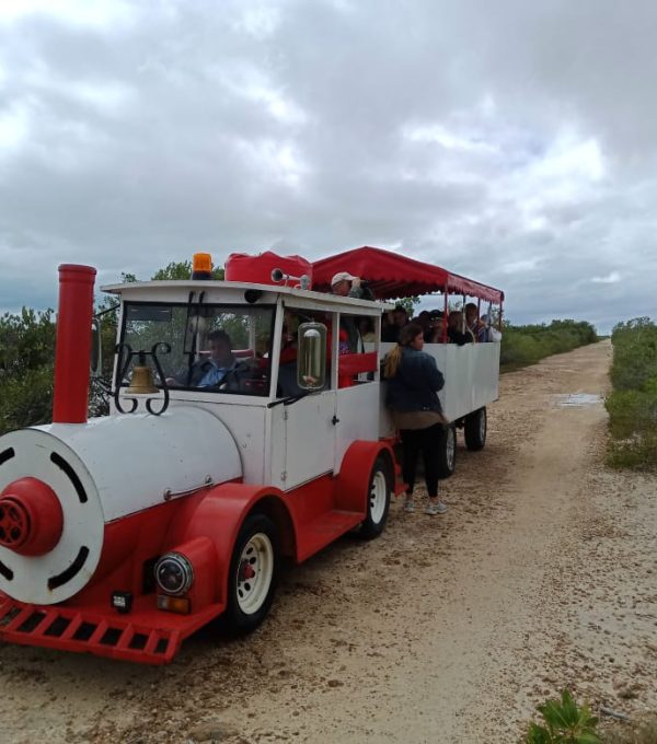 WhatsApp Image 2026-01-22 at 20.09.17